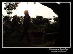 IMG_1011z
