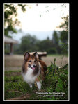 IMG_1079z