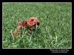 IMG_0827z