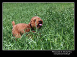 IMG_0829z