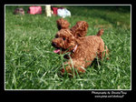IMG_0846z