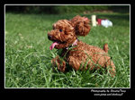 IMG_0847z