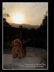 IMG_1064z
