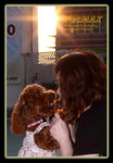 IMG_2635y