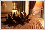 IMG_8082z
