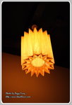 IMG_8083z