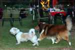 IMG_7771z