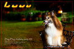 IMG_7825z
