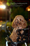 IMG_7888z
