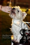 IMG_7989z