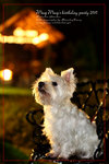 IMG_8004z