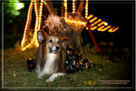 IMG_8721z