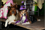 IMG_8751z