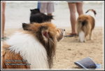 IMG_7690z