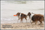 IMG_7701z