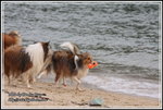 IMG_7711z