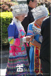 IMG_2957z