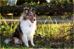 IMG_1884z