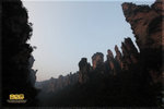 IMG_1571z