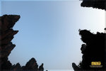 IMG_1578z