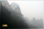 IMG_1598z