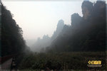 IMG_1641z