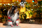 IMG_2487z