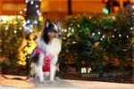 IMG_2506z