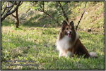 IMG_7526z