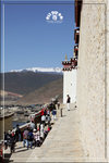 IMG_3601z