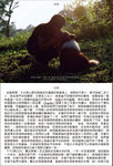 Angel Charlie page 119 & 120z