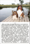 Angel Charlie page 131 & 132Z