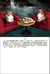 Angel Charlie page 133 & 134z