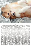 Angel Charlie page 141 & 142z