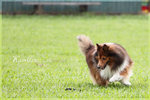 IMG_4944z