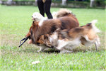 IMG_4976z
