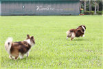 IMG_5063z