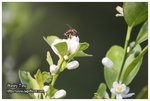 IMG_4849z