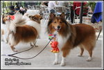 IMG_4081z