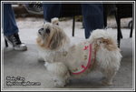 IMG_4106z
