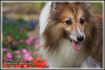 IMG_4178z