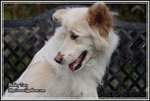 IMG_4194z