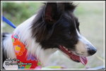 IMG_4267z