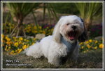 IMG_4302z