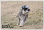 IMG_4409z