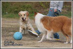 IMG_4538z