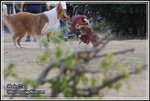 IMG_4570z