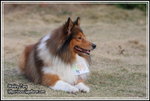 IMG_4595z
