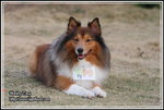IMG_4596z