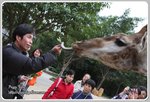 IMG_2457z